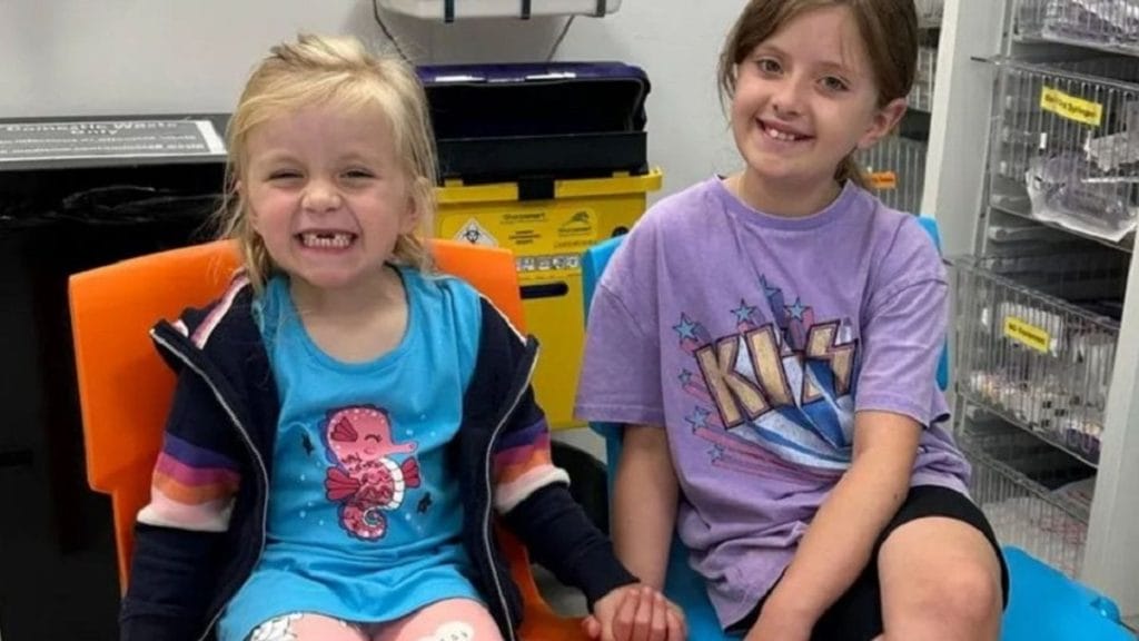 Egy csodás győzelem: a 6 éves kislány legyőzte a ritka leukémiát a kishúga segítségével