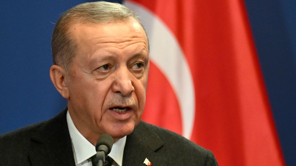 Erdogan elítéli az amerikai egyetemisták elleni erőszakot és bírálja a tüntetést