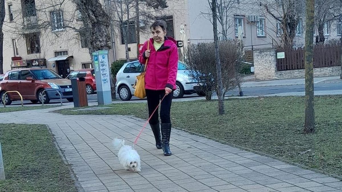 Aggódva keresi a depressziótól szenvedő Gizellát 1 hete születésnapja előtt