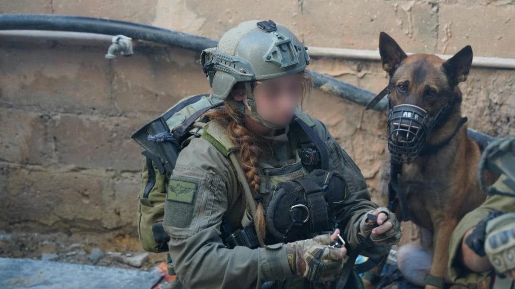 A Kidobott kutyából bombakereső sztár lett: Rókica története