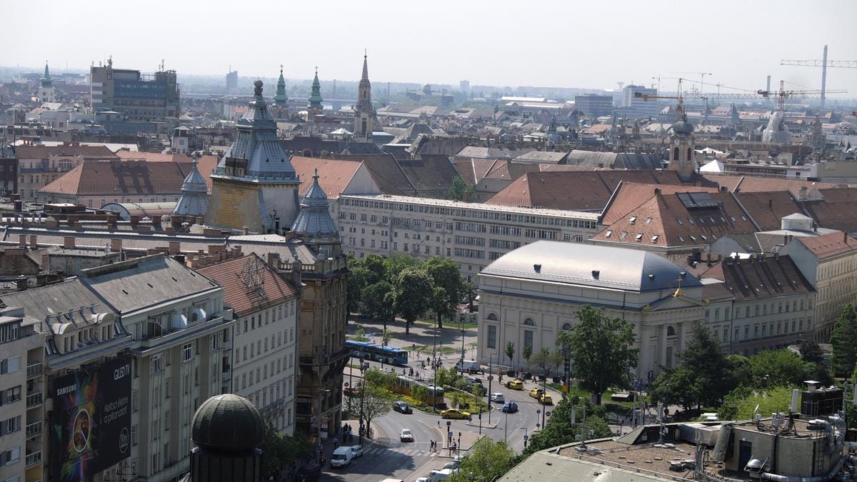 A Pénzszóró Influenszer Visszahelyezte a Letaposott Virágokat a Deák Térre