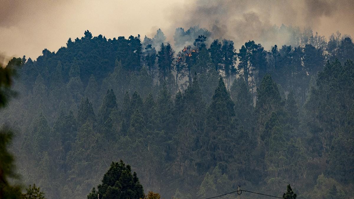 Spanyolországot sújtó erdőtűz: Tűzoltók súlyos sérüléssel küzdenek
