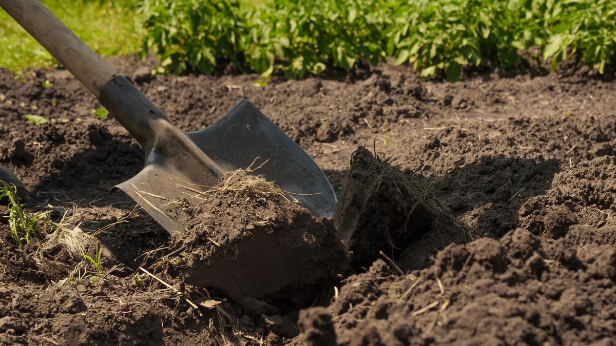 Piliscsaba titokzatos eseménye: több mint másfél tonna robbanószert találtak egy kertben