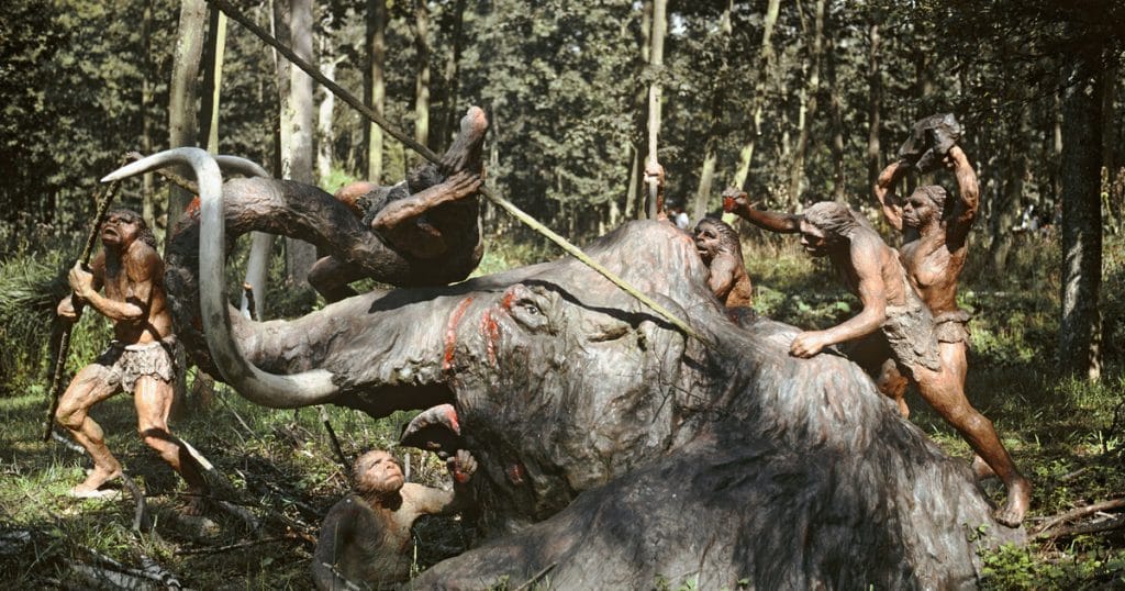Neandervölgyi emberek hatalmas 4 méteres monstrumot fogyasztottak