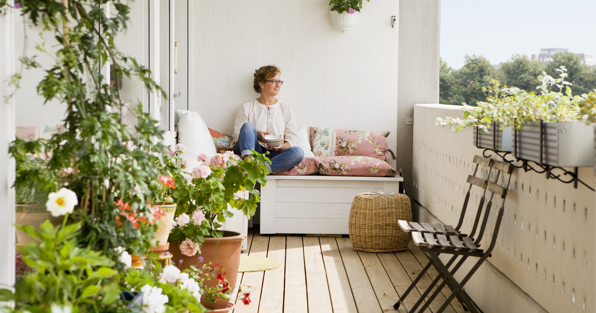 Örökzöldek és virágok: Így teremthetsz saját édenkertet az erkélyen