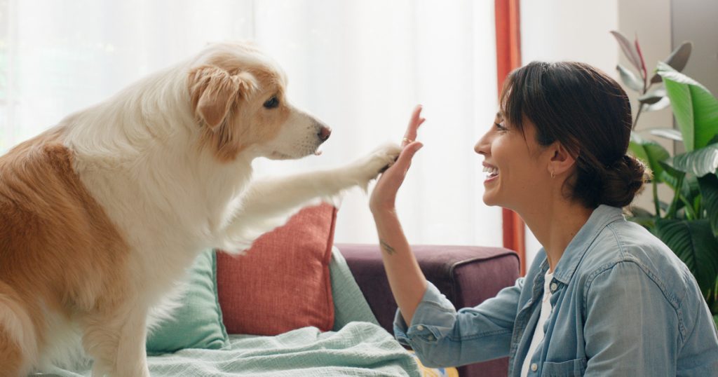 Az óvatosság kulcsfontosságú: Ne beszélj túl sokat a kutyádhoz!