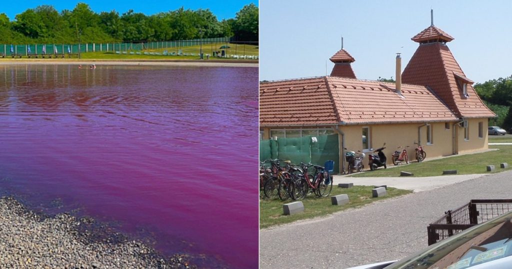 A Rózsaszín Csoda: Varázslatos gyógyító tó a határ közelében