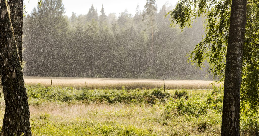 Készülj fel az első nyári hónap esős időjárására: itt az előrejelzés!