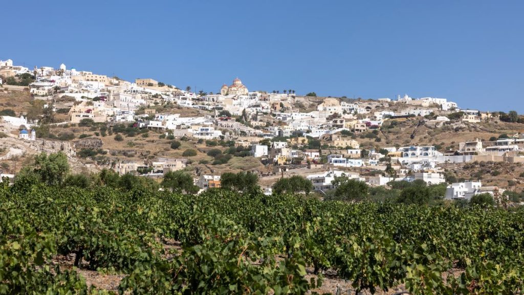 Az elbűvölő görög borok varázslatos vidéke