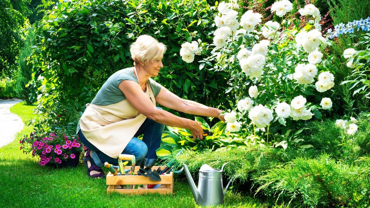 10 Hatékony Rövid Nyelű Szerszám a Magaságyás Kertészkedéshez