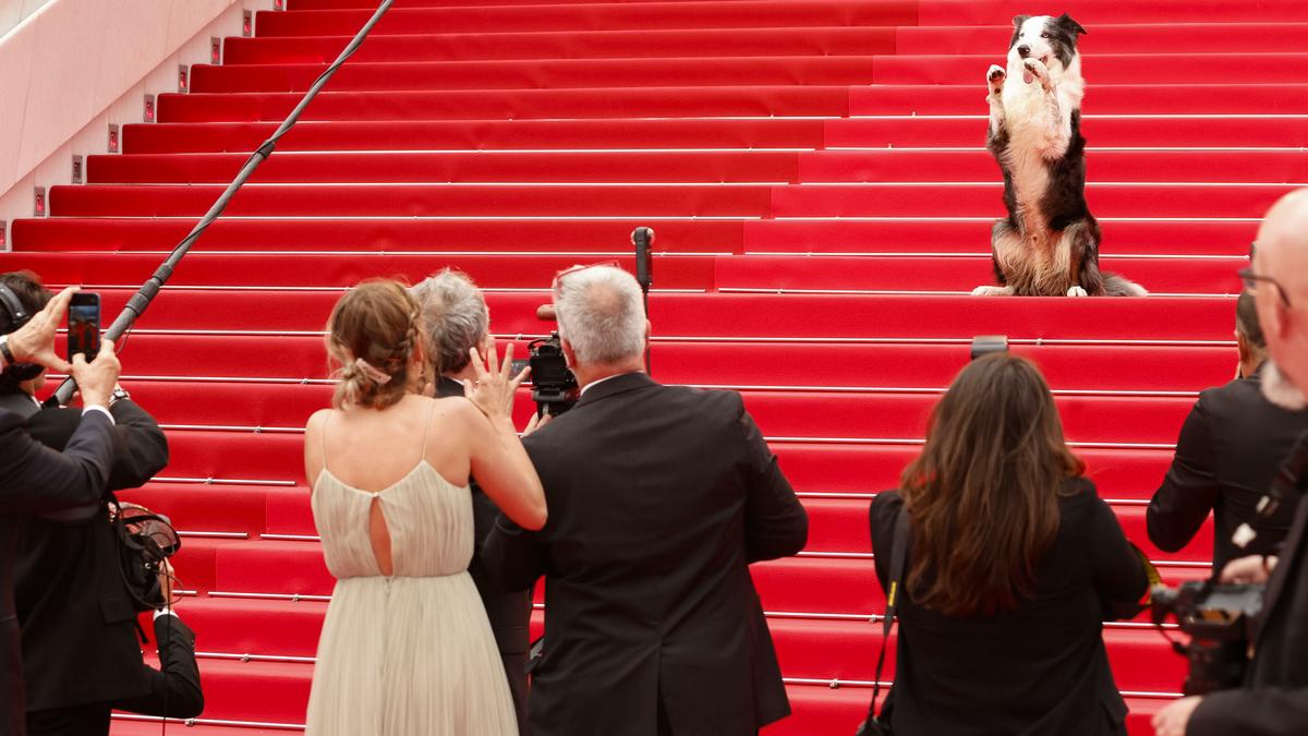 Messi ragyogott a cannes-i vörös szőnyegen – különleges pillanat fotókon