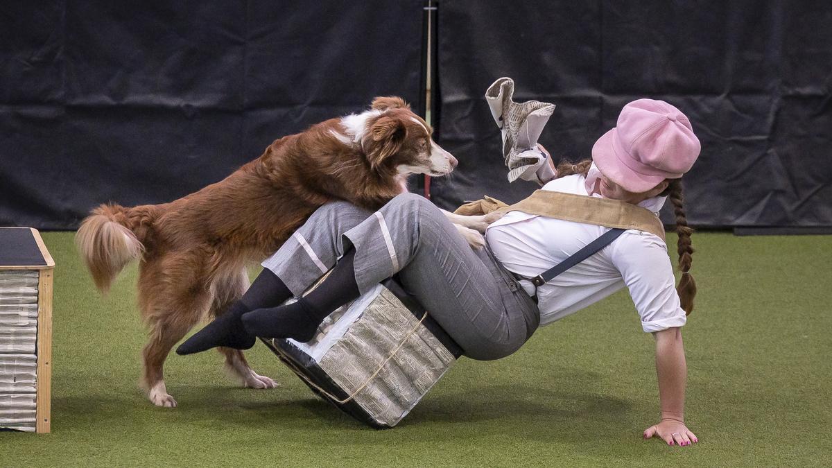 Lenyűgöző pillanatok az idei kutyatánc-világbajnokságról – fotók