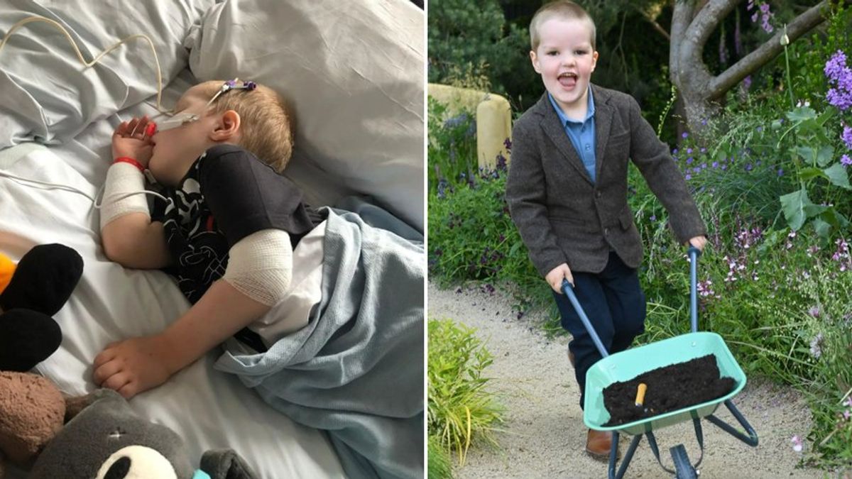 Szívszorító: A bárányhimlő miatt lebénult a 4 éves Freddie