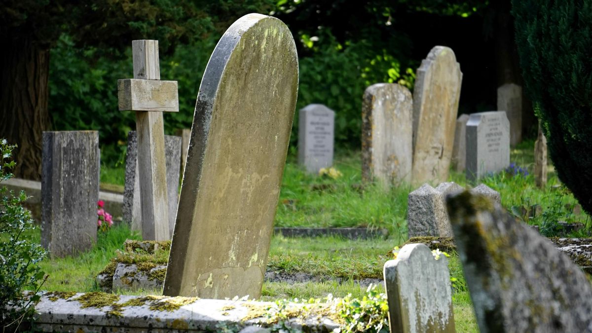 Profán lopások a temetőben: muskátlik sem maradnak érintetlenül