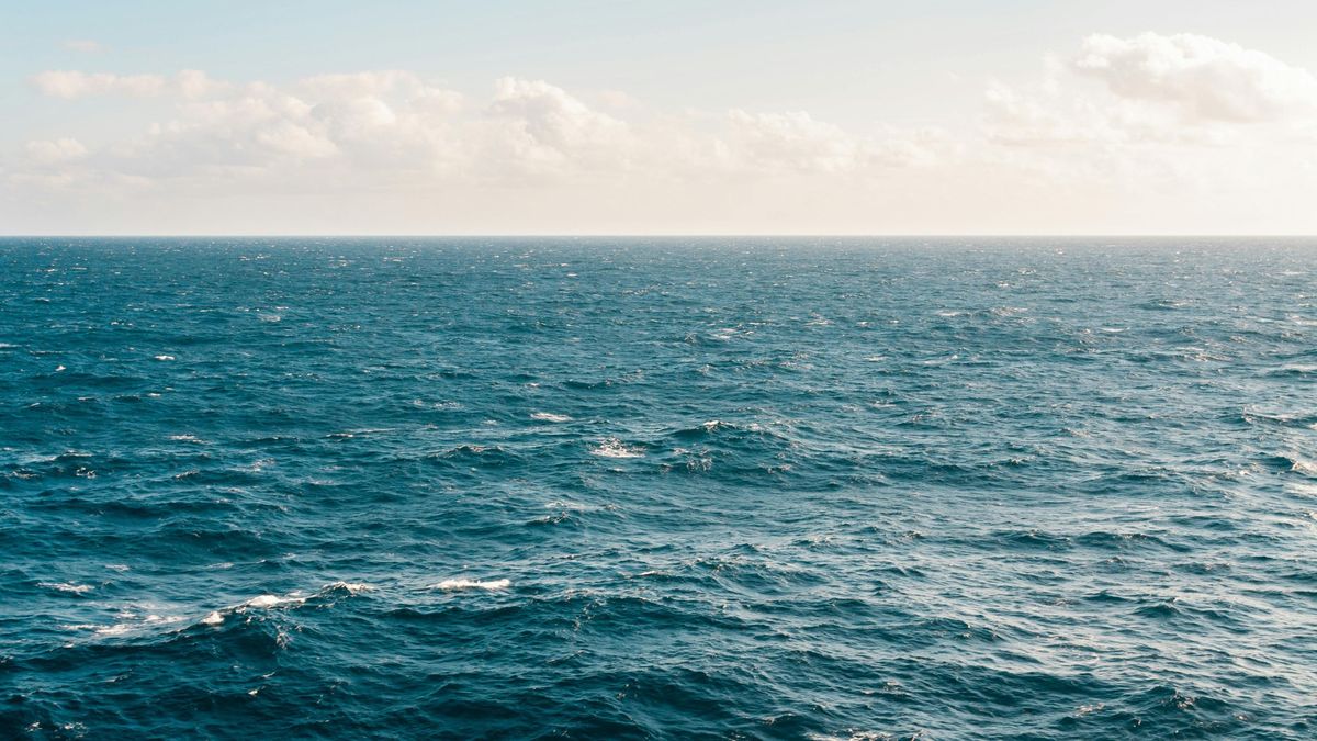 Az óceán rejtélyei: amit a kutatók a tenger mélyén találtak