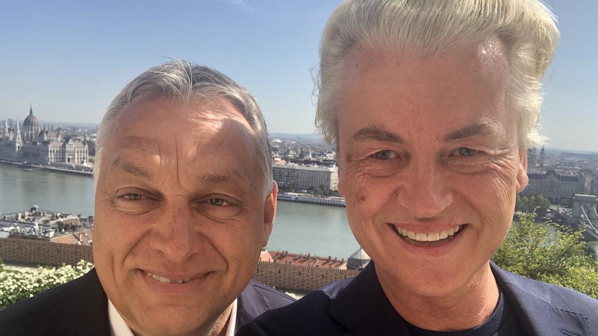 Az Orbán Viktor iszlámellenes holland barátjának kormányalakítási terve megdöbbentő fordulatokat ígér: Geert Wilders és a magyar kormányközeli kapcsolatok