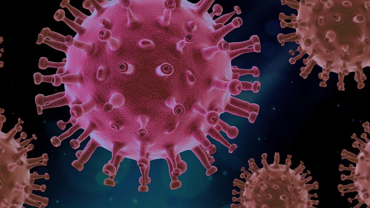A koronavírus hosszú távú hatása az emberek intelligenciájára: aggasztó kihívások előtt állunk
