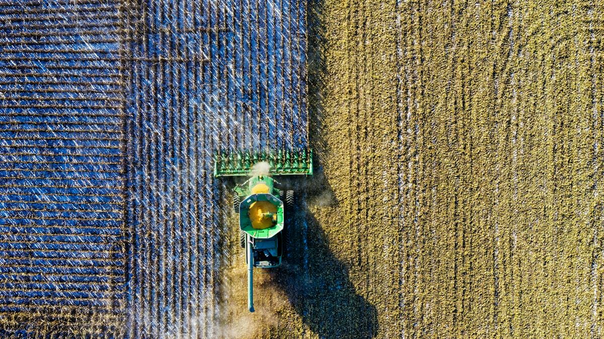 A jövő mezőgazdasága: robotok aratják a piros és lila búzát