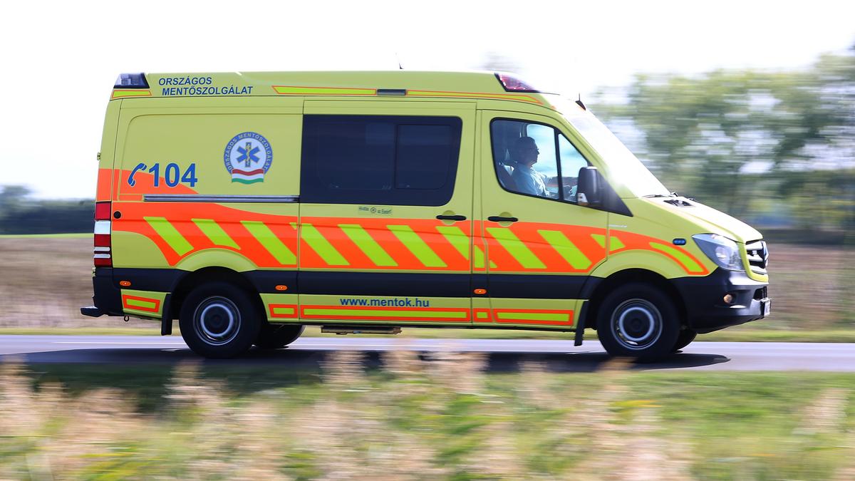 Egy hősies tett: Egy lány megmentette egy 60 éves nő életét Pest vármegyében