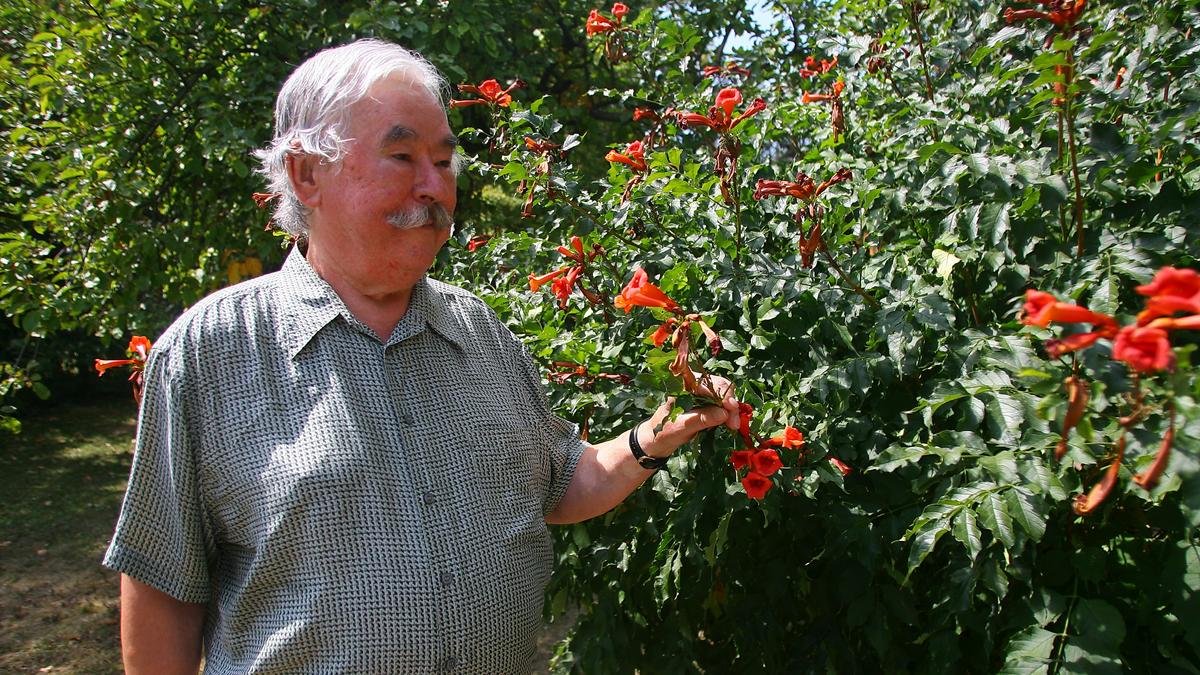 A bohém életmódot folytató Csukás István: a pénzt nem gyűjtötte, hanem élvezte