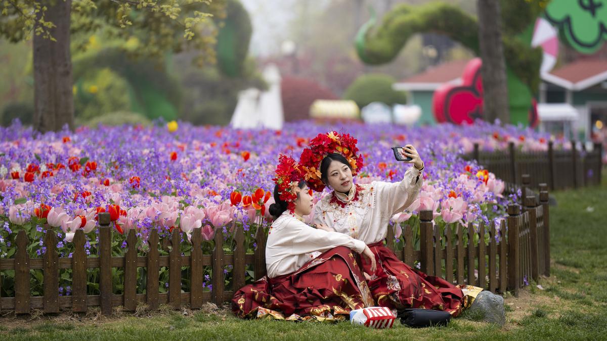 A Holland tulipánt Made in China felirattal ellátják