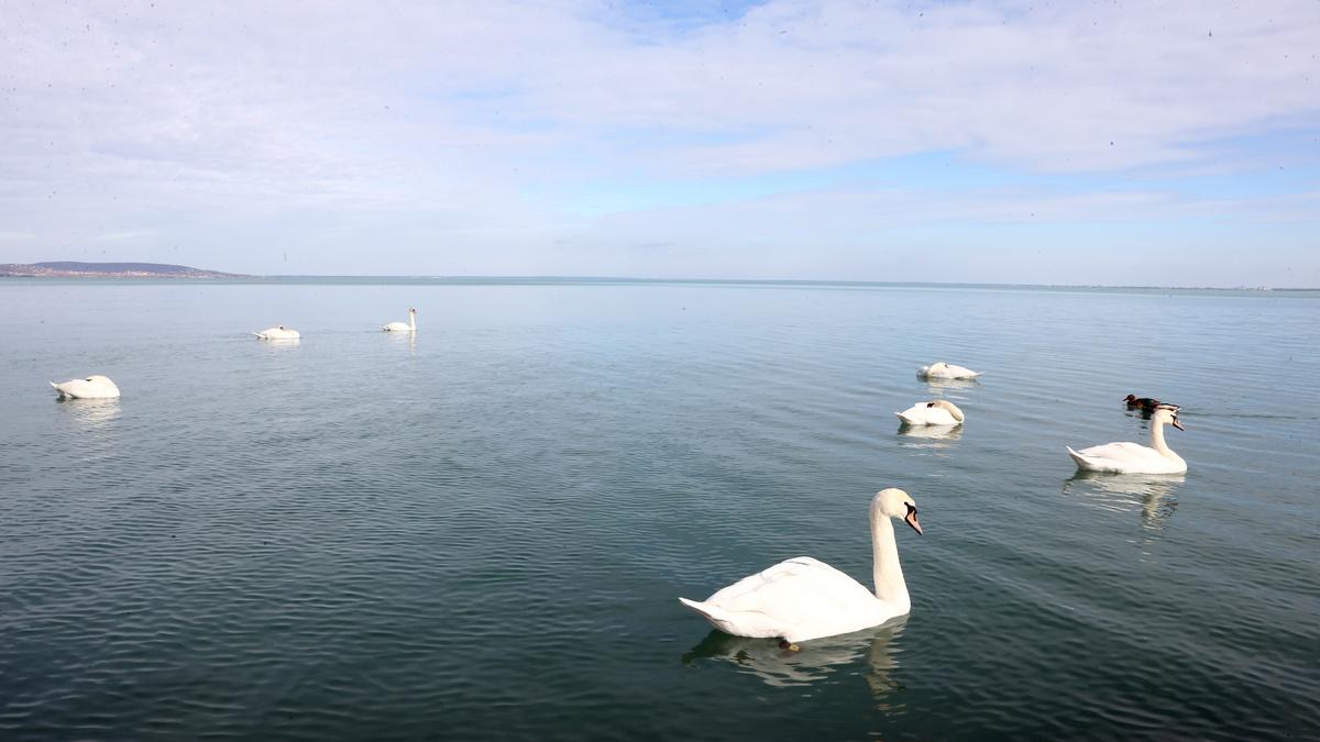 Csábító Balaton: nyaralásra felkészülni!