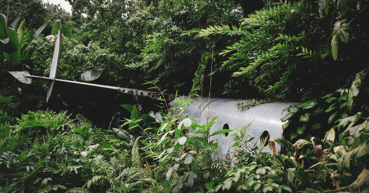 A túlélő csoda: a 17 éves lány repülőgépről zuhant az őserdőbe és életben maradt