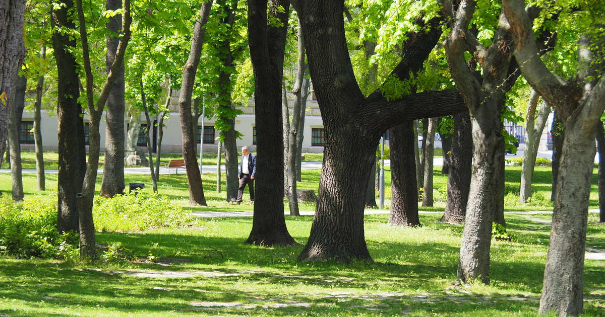 A Budapesti Park bezárása egy hónapra: új helyszínek is érintve lesznek a változások