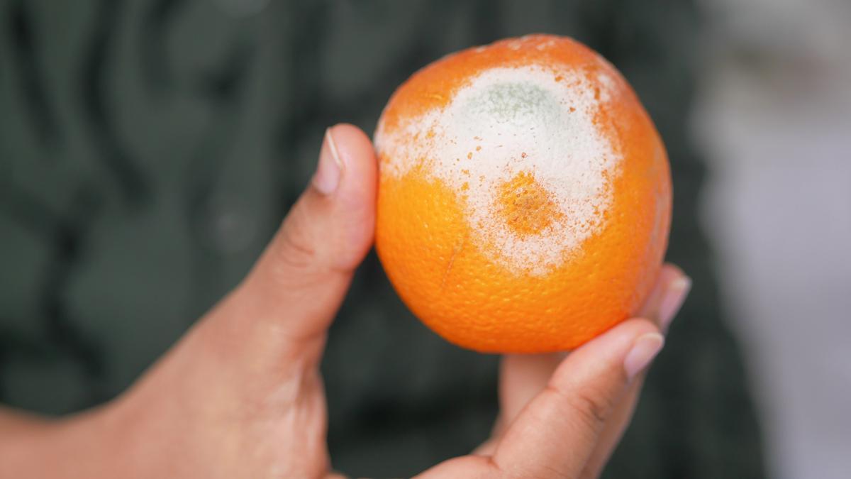 A narancskrízis súlyosbodik: Mi lesz ebből így?