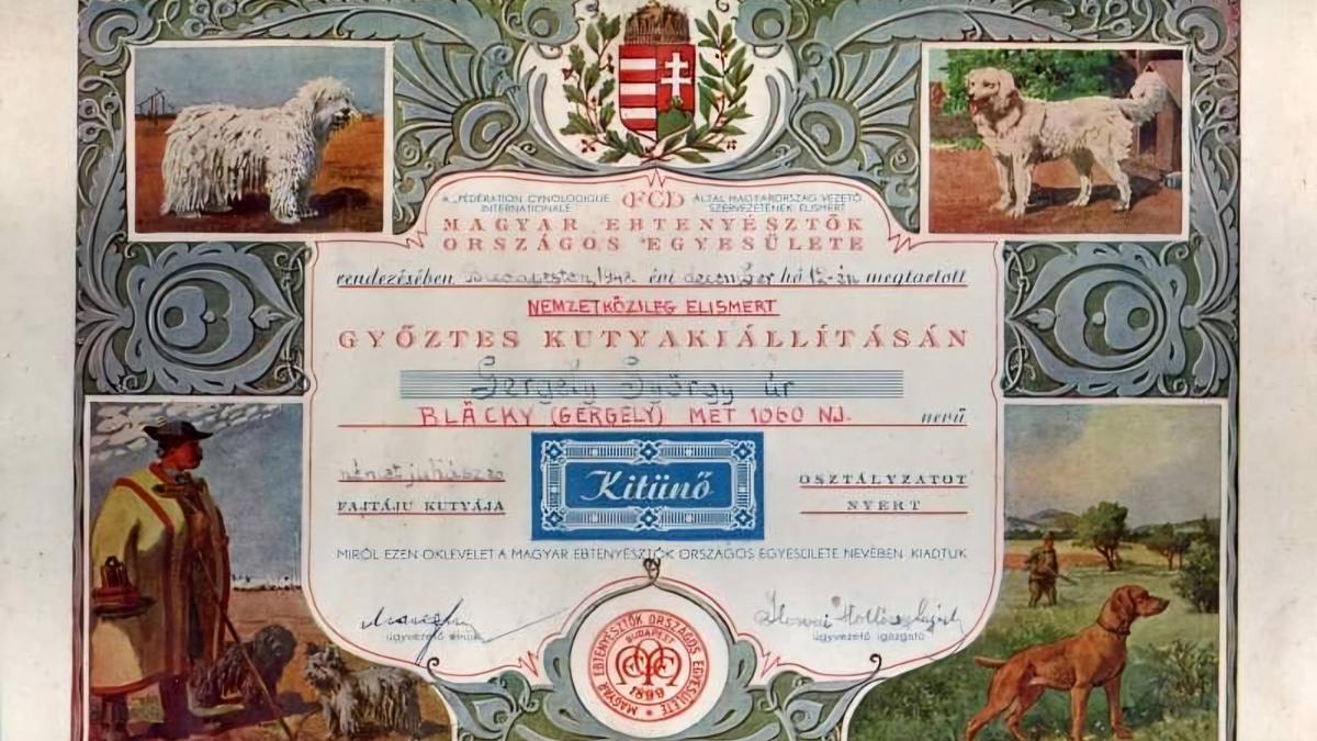 A Magyar Nemzeti Múzeum meglepő kutyatörténetekkel bővíti kollekcióját - ne hagyjátok ki!