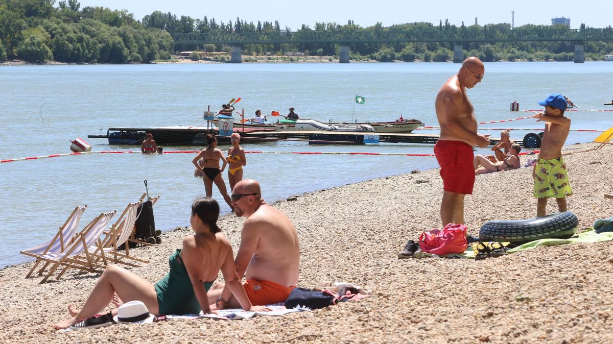 Pénteken ismét megnyílik Budapest egyetlen ingyenes Duna-parti fürdőhelye a Római-parton” – Élvezd a természetközeli fürdőzést a város szívében!