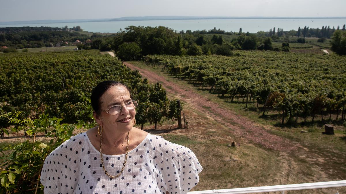 Házkutatás a Balatonon: A magyar Riviéra luxusotthonai a hírességek számára