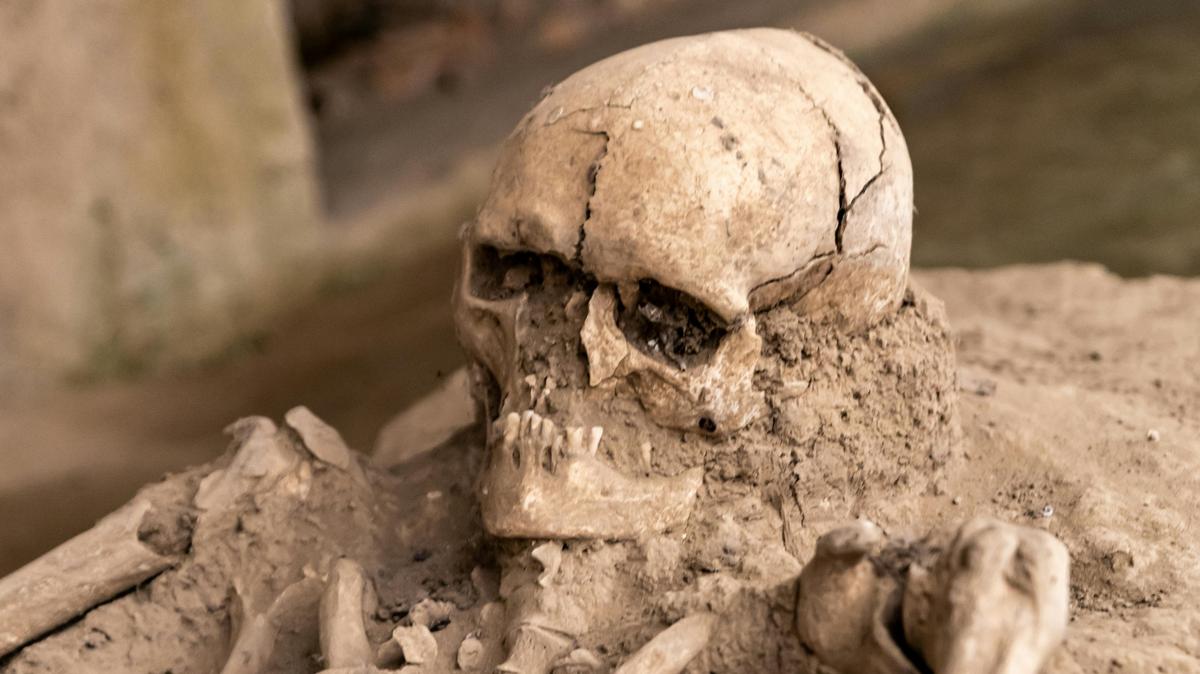 Rejtélyes tömegsírok feltárása Mohácsnál: a halottak titkai a földből