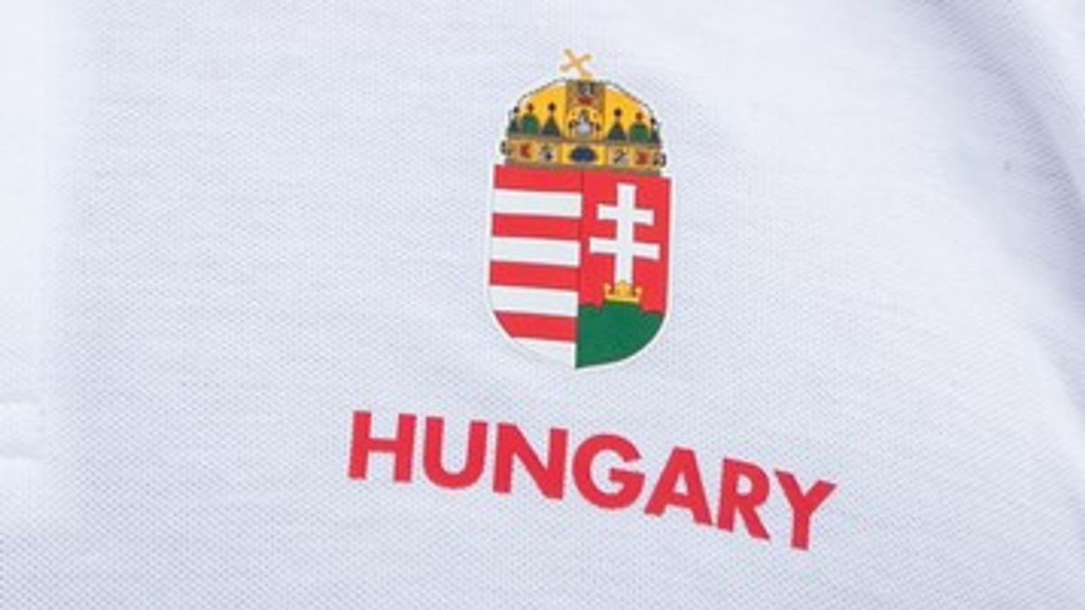 Az igazság fényében: hivatalos bejelentés a magyar válogatott kapusáról