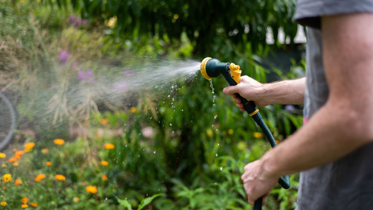 Víztakarékos kerttervezés kánikulára: hatékony tippek és trükkök