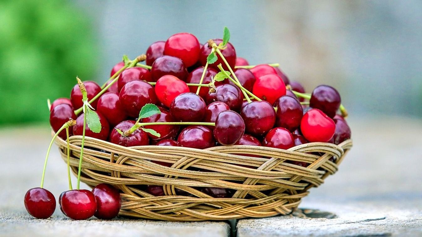 Hasznos ötlet: Ne dobja ki a cseresznye szárát - fontos tudnivalók és tippek!