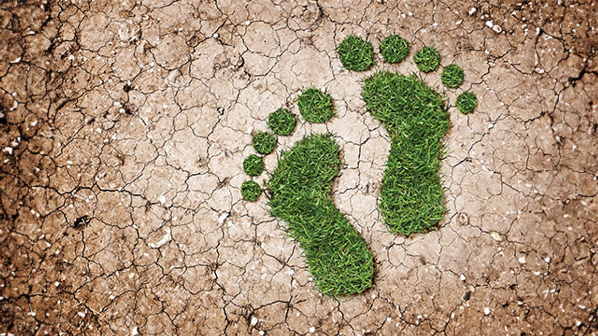 Zöld kereskedés: A karbonsemleges megoldás a jövő kereskedelmében