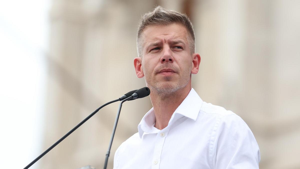 Magyar Péter hivatalba lépett az európai parlamenti képviselői mandátumával – Fotóriport