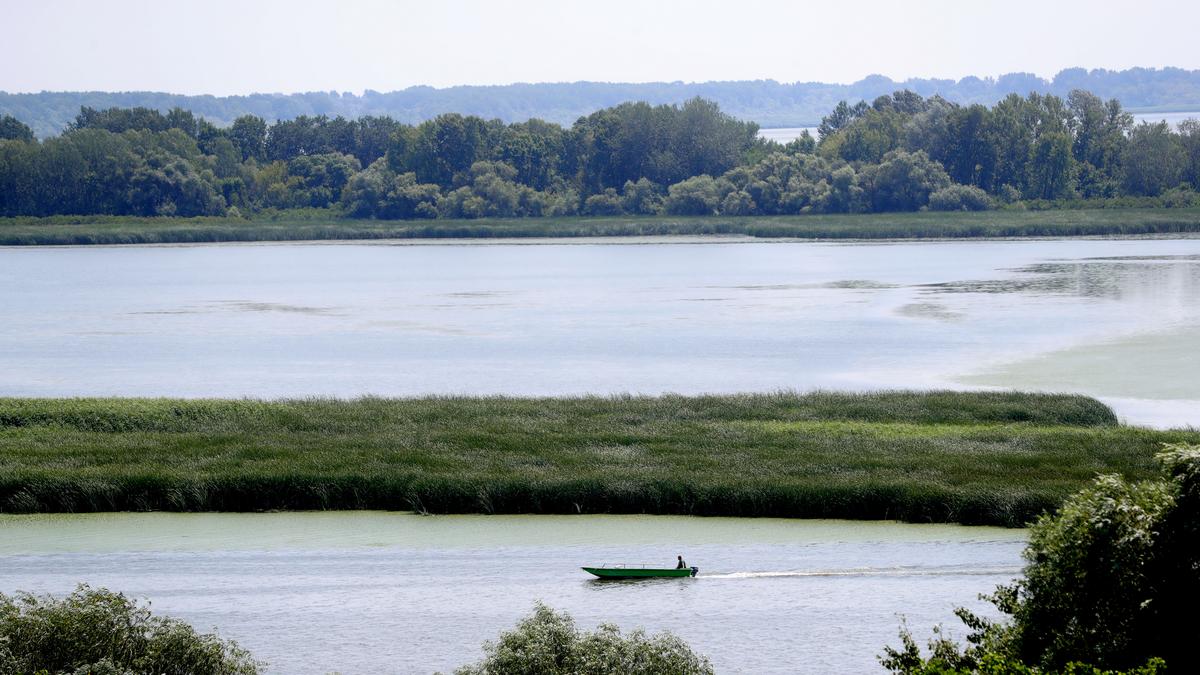 Rejtélyes felfedezés a Tisza-tónál: halott kézben tartotta az elképesztő kincseket - fotókkal