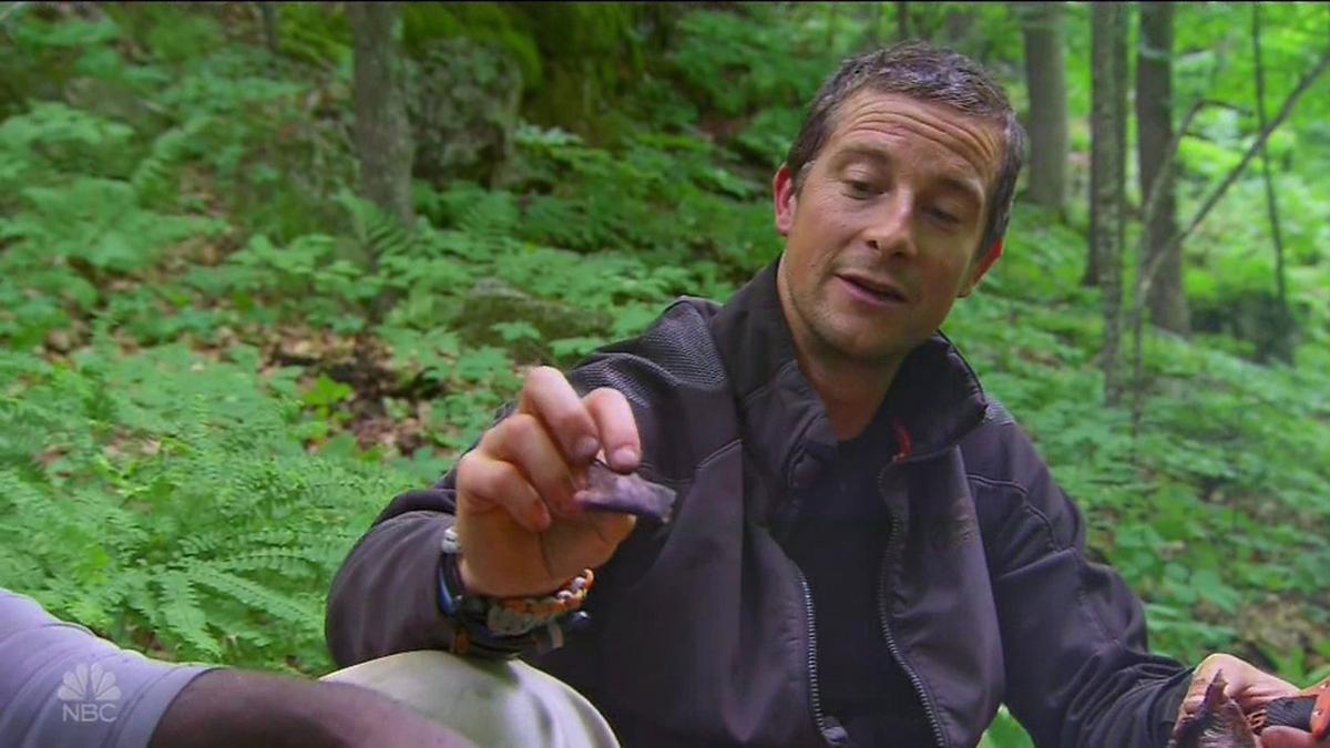 Bear Grylls: 50 éves adrenalinfüggő túlélő: az élet legveszélyesebb kalandjairól mesél