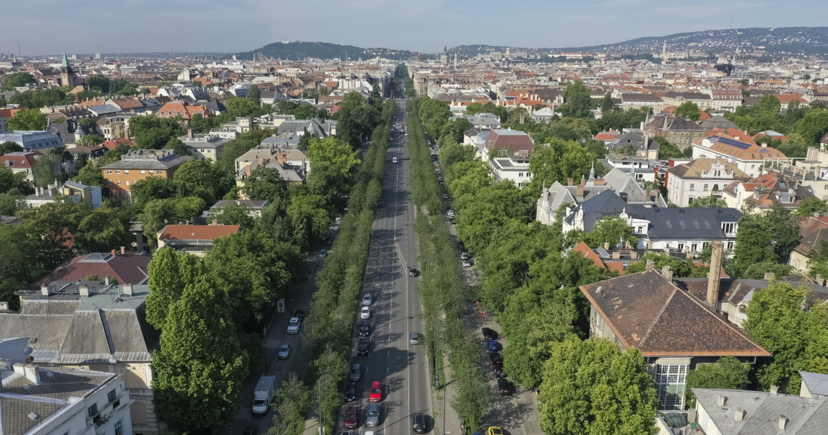 A szigorú büntetés vár, ha ezt meglátod az utcán egy hét múlva