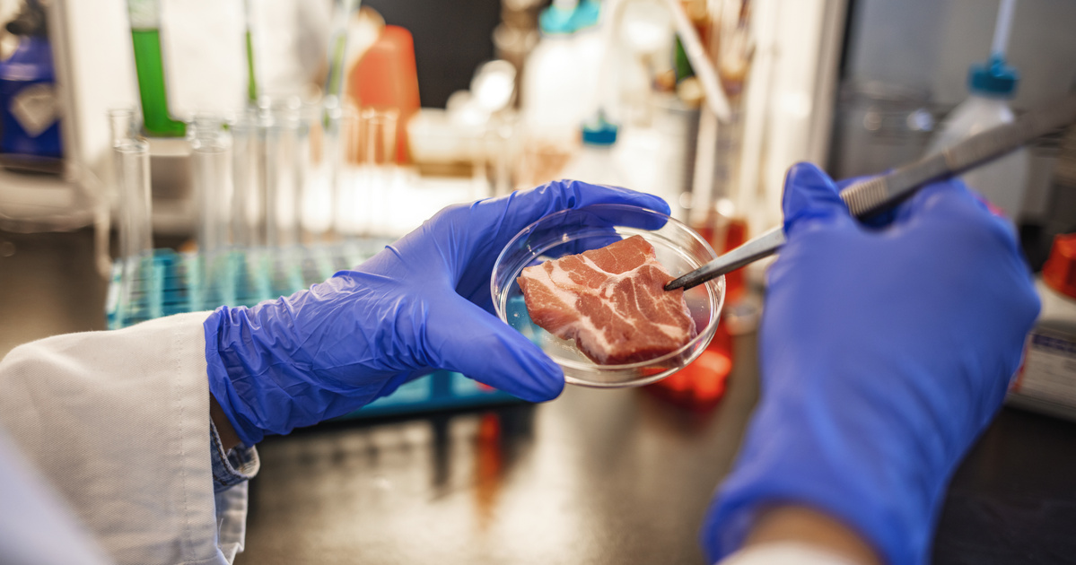 A laboratóriumi hús körüli vitába hajszál hír a Agrárminisztérium jóvoltából