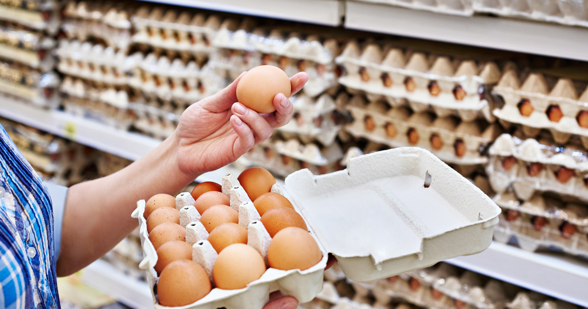 Ausztrália tojáshiánya fenyeget, kérés: csak a szükséges mennyiséget vásárolják meg!