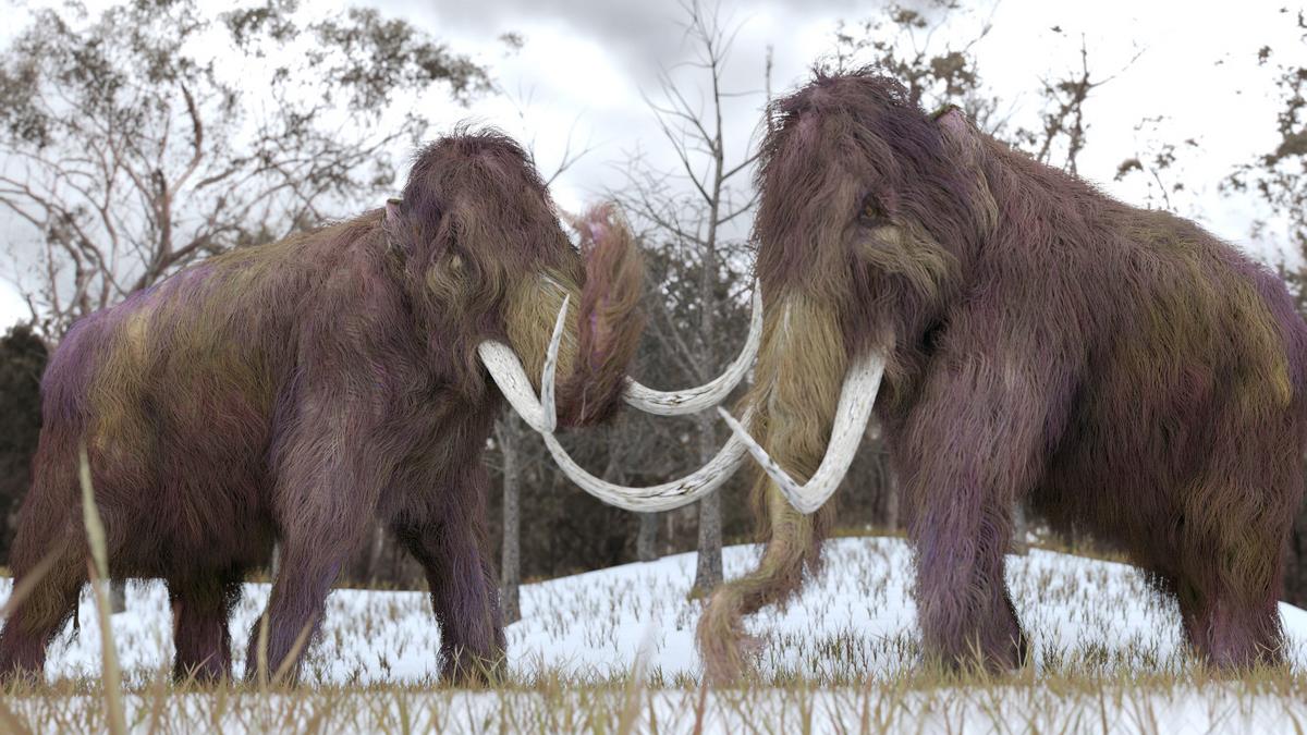 Visszahozhatók a gyapjas mamutok? Új lehetőségek az 52 ezer éves genom kinyerésével