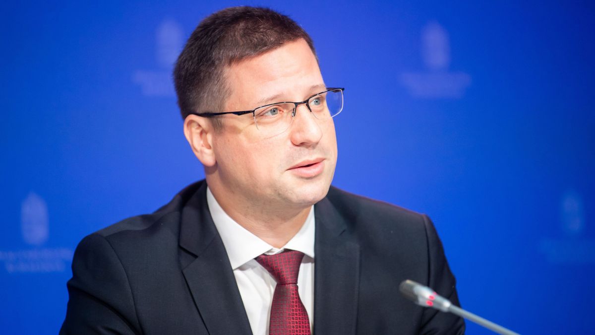 Gulyás Gergely: Az EP-hez kell fordulni a Magyar Péter ügyben