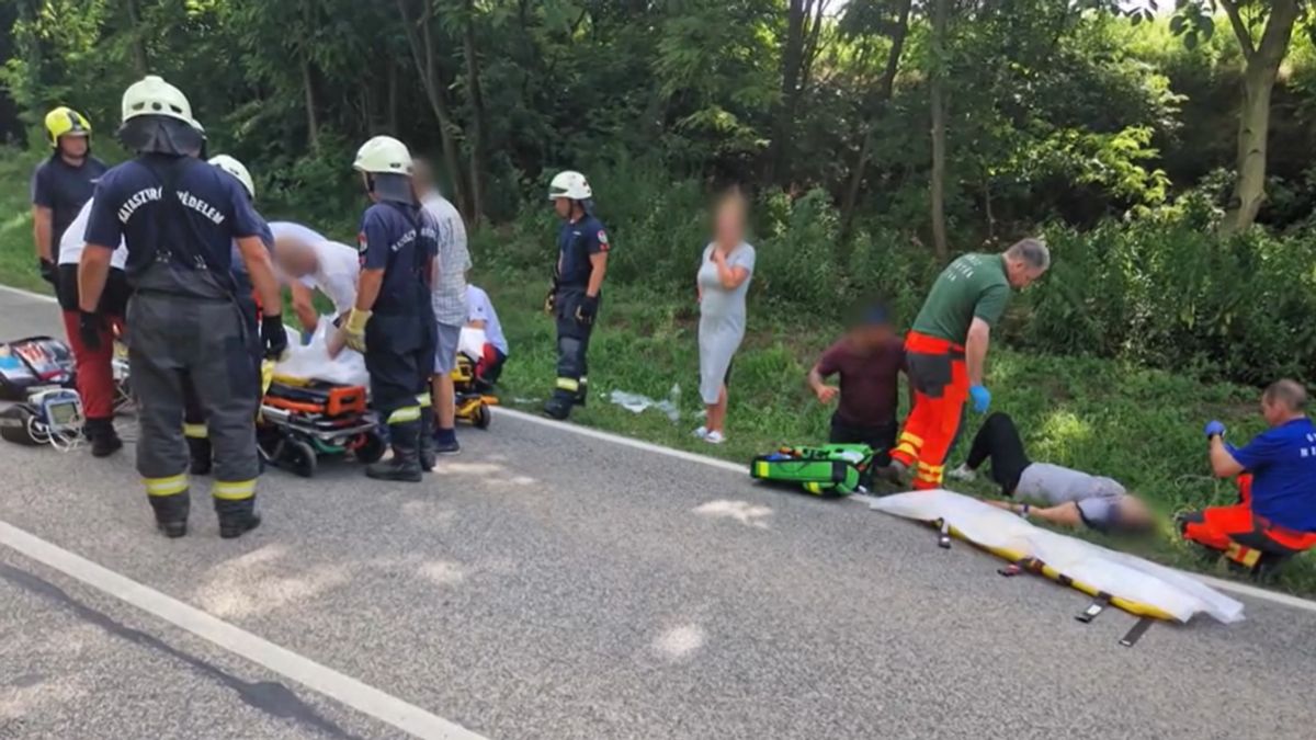 Súlyos baleset a 65-ös úton: Testvérpár megsérült, állapotuk kritikus – Videó