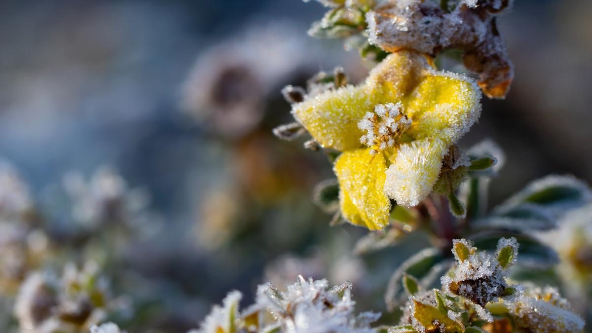 Hidegrekord a Bükkben: -3,7 °C a nyáron