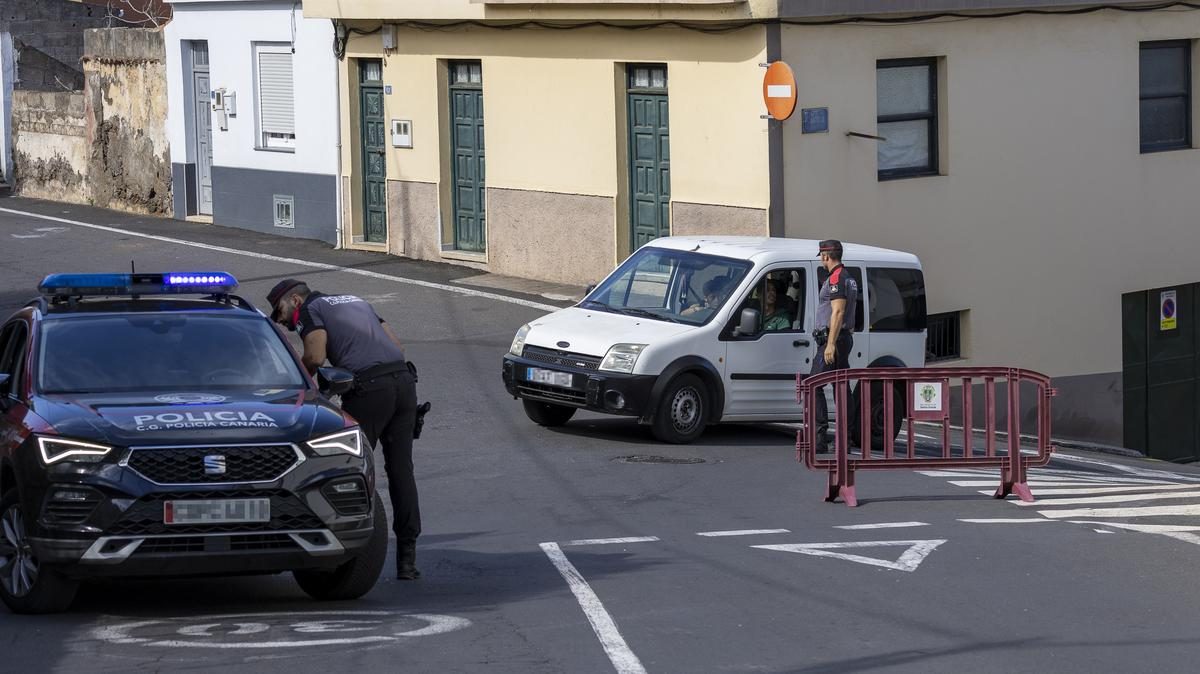 A tragikus kutyasétáltatás: szomszéd ölésének szomorú háttere