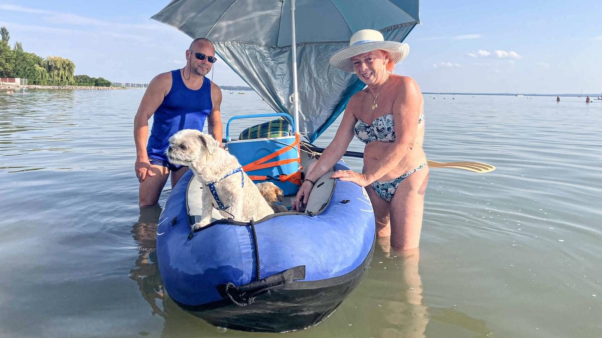 Kutyák kedvenc helyen: Balatonkenesén strandolnak, ahol hivatalosan nem is szabad nekik – fényképek