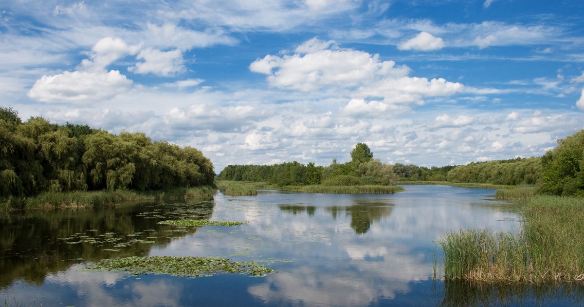 A gyönyörű magyar tó tragédiája: a rejtélyes veszteség okai felszínre kerültek